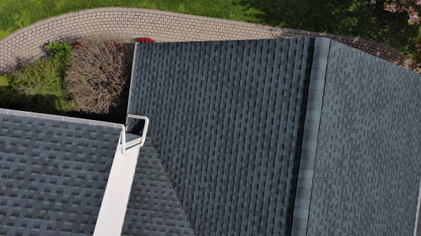 Best Solar Panel Roofing Installation  in Kahoka, MO